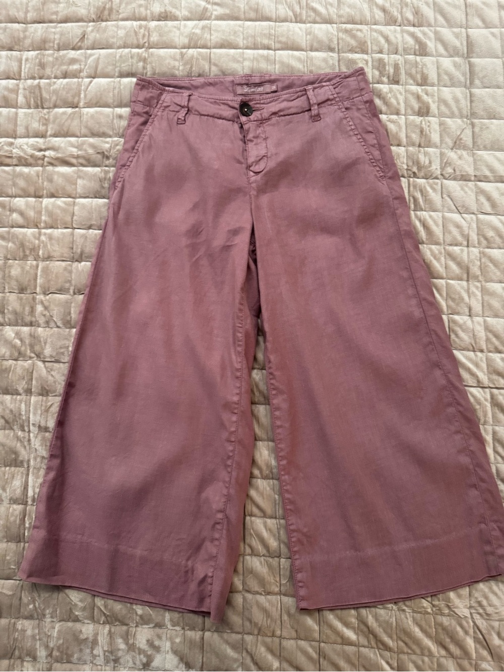 Level 99 Mauve Linen Blend Wide Leg Crop Pants Size 25